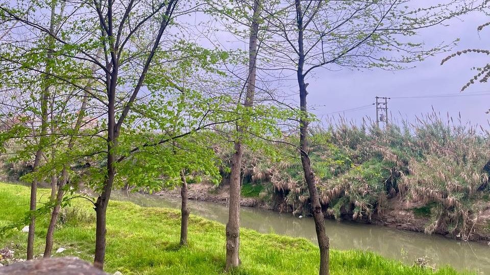 «وشمال» — تصویر پیوست