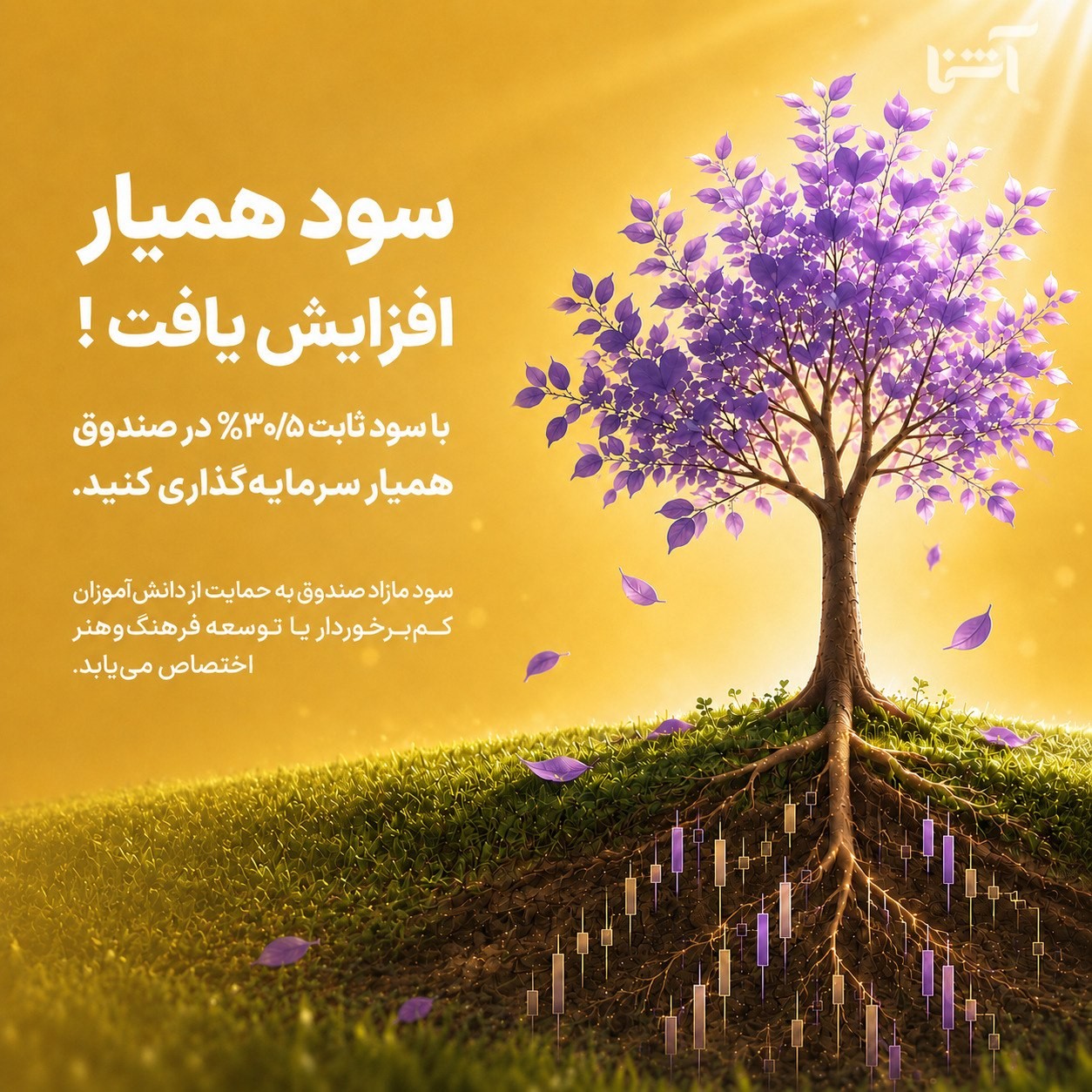 «فرصتی ویژه برای سرمایه‌گذاری با سود بیشتر» — تصویر پیوست