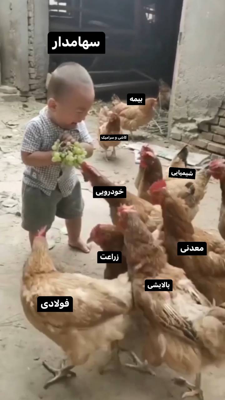 «وضعیت بازار امروز» — تصویر پیوست