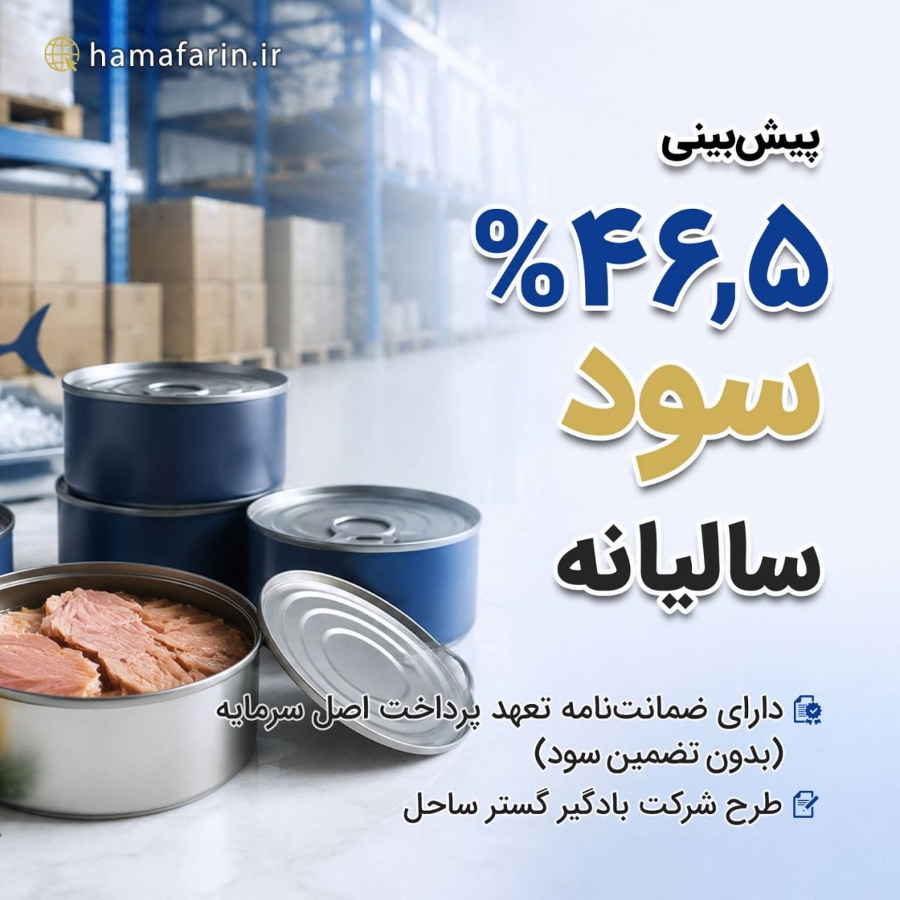«فرصت جدید سرمایه گذاری در سکوی هم‌آفرین» — تصویر پیوست
