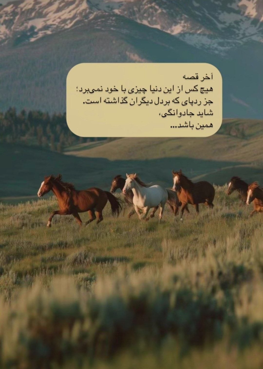 «سلام صبح همگی بخیر» — تصویر پیوست